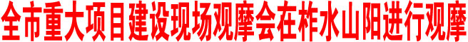 商洛市重大項(xiàng)目建設(shè)現(xiàn)場觀摩會在柞水山陽進(jìn)行觀摩