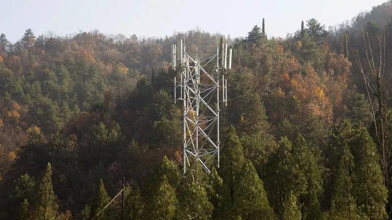 1密林深處，豎立起格外醒目的移動(dòng)4G基站.jpg