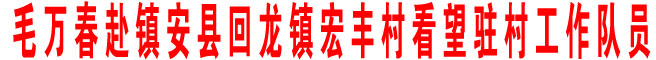 毛萬(wàn)春赴鎮(zhèn)安縣回龍鎮(zhèn)宏豐村看望駐村工作隊(duì)員