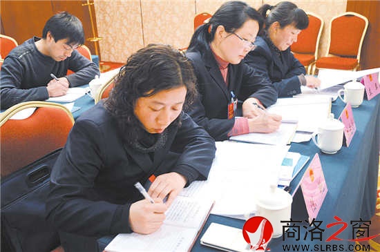 柞水團(tuán)代表正在認(rèn)真撰寫(xiě)建議。 （記者 李敏 費(fèi)翔 攝）