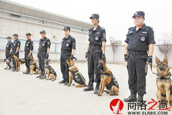 訓(xùn)犬員和他們的“戰(zhàn)友”隨時準(zhǔn)備出警