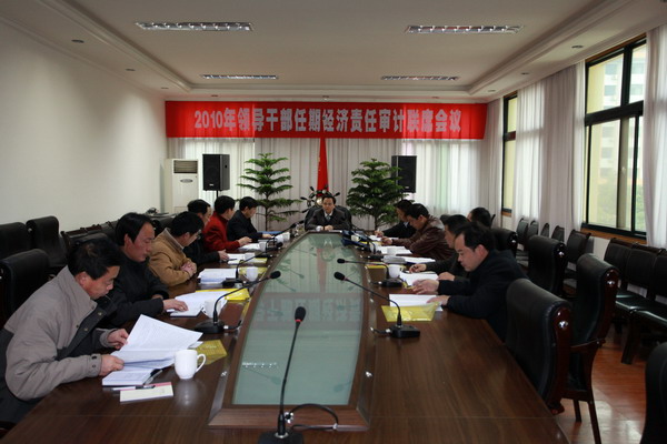 2010年領(lǐng)導(dǎo)干部任期經(jīng)濟(jì)責(zé)任審計(jì)聯(lián)席會(huì)議在政府三樓召開(kāi).jpg