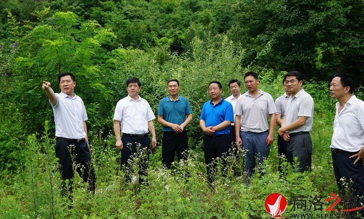 現(xiàn)場協(xié)調(diào)鎢鉬產(chǎn)業(yè)園搬遷點用地問題.jpg