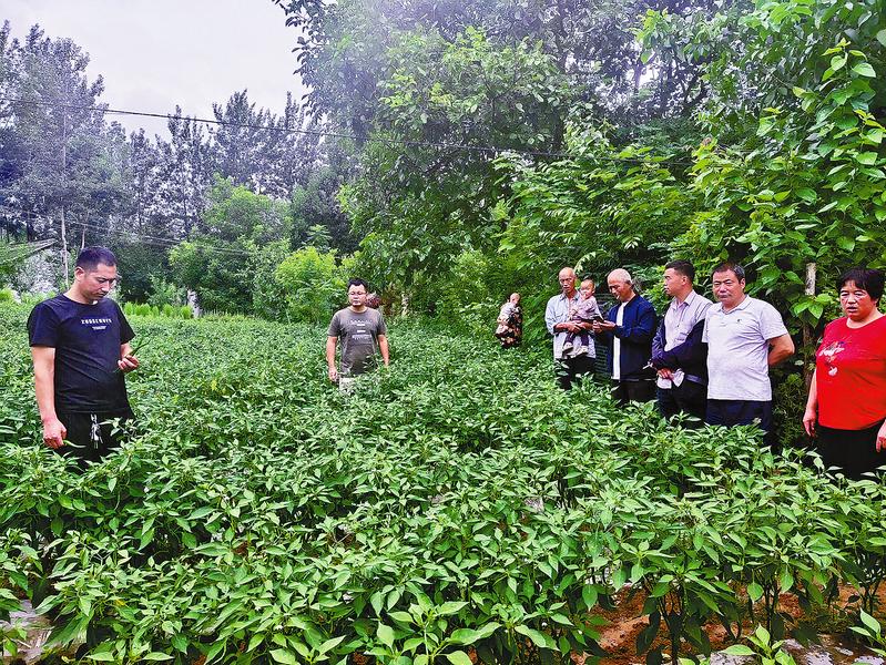 一位新時代菜農(nóng)的致富密碼