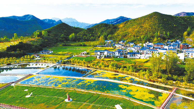 農(nóng)文旅融合，“融”出好光景