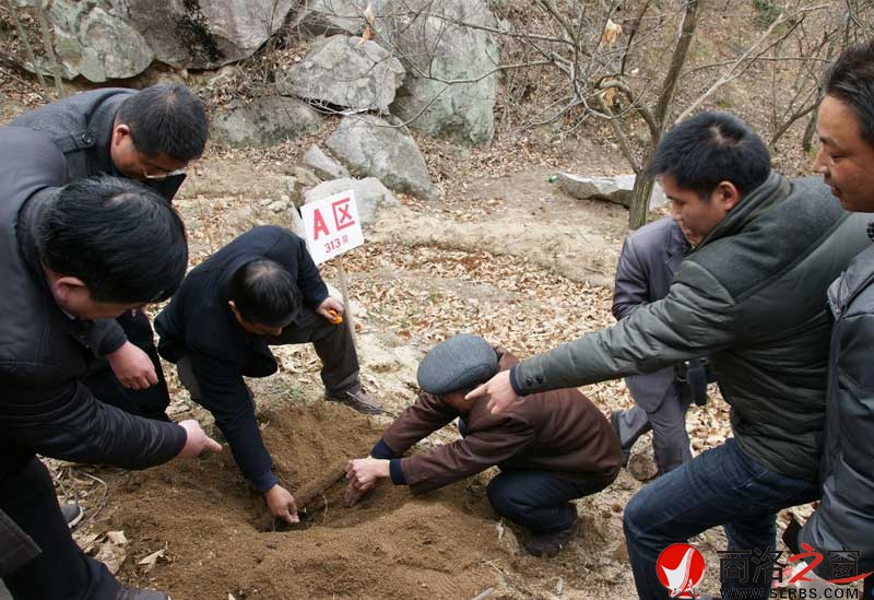 商南縣政府開展送政策、送技術(shù)、送溫暖活動