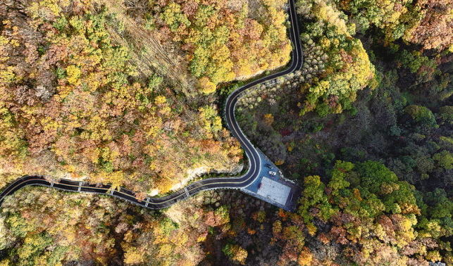 奮楫揚(yáng)帆逐浪行